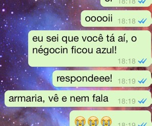 Whatsapp agora tem tique duplo azul mostrando que a pessoa leu sua mensagem