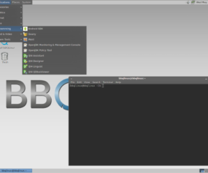 BBQLINUX – distribuição Linux para desenvolvedores Android
