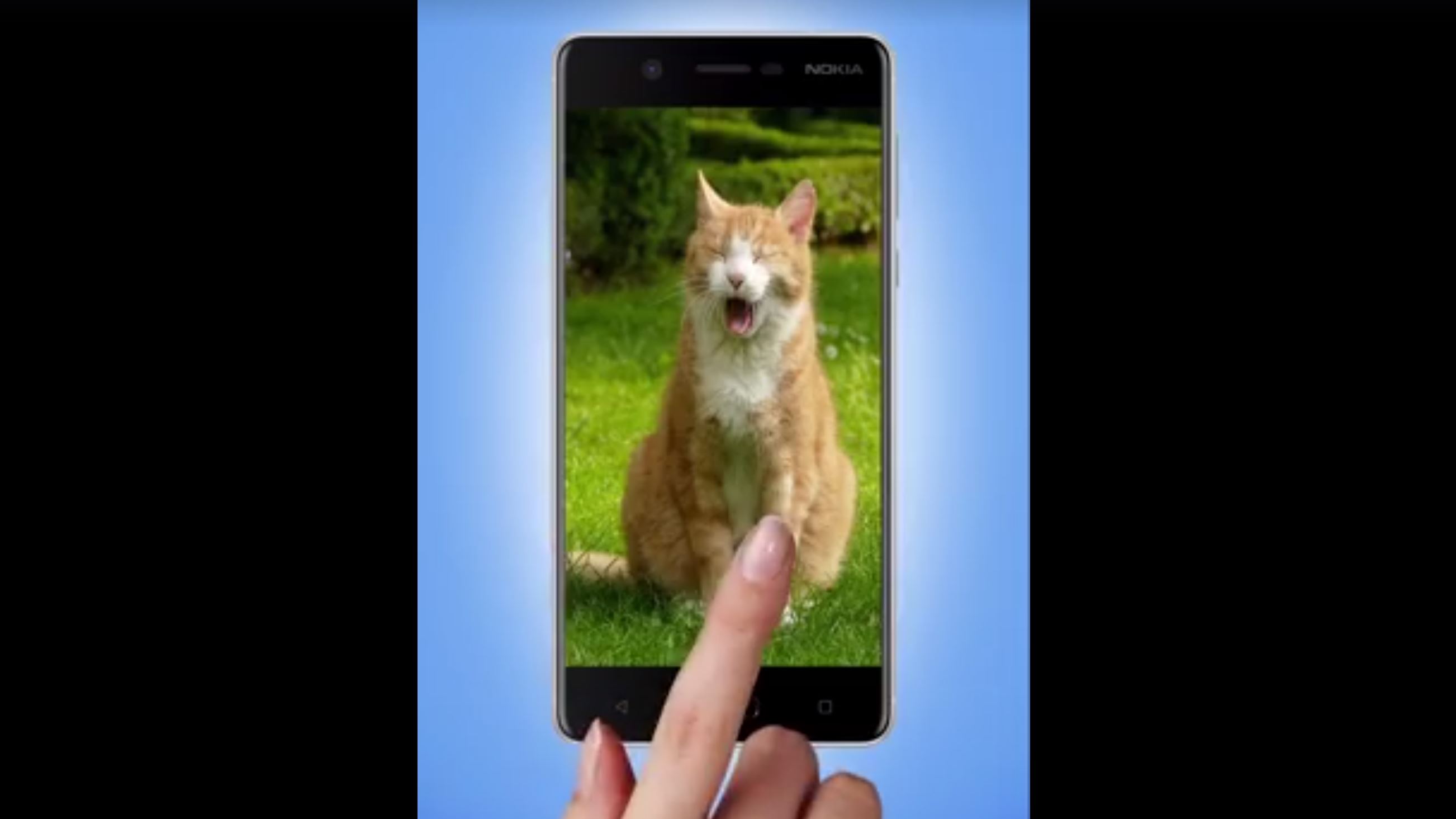 O Nokia 8 aparece no vídeo do dia internacional do gato da HMD